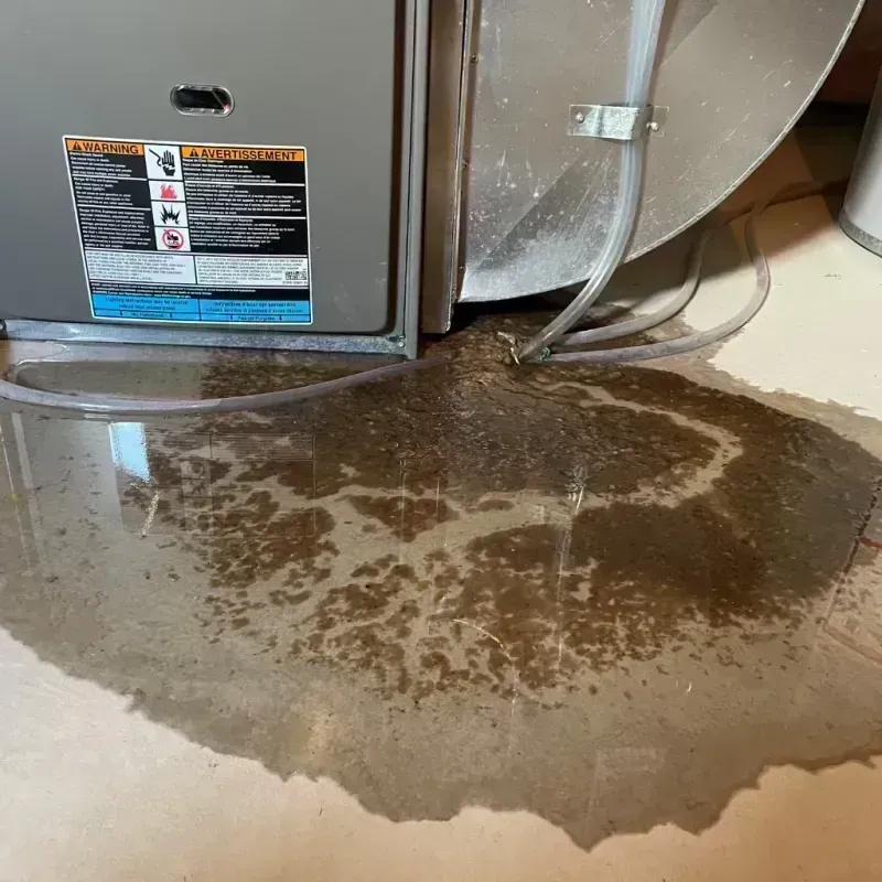 Appliance Leak Cleanup in Douglas County, CO